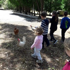 E’ arrivata la primavera alla scuola dell’infanzia Suore Piccole Operaie del Sacro Cuore di Andria