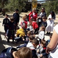 E’ arrivata la primavera alla scuola dell’infanzia Suore Piccole Operaie del Sacro Cuore di Andria