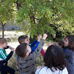 E’ arrivata la primavera alla scuola dell’infanzia Suore Piccole Operaie del Sacro Cuore di Andria