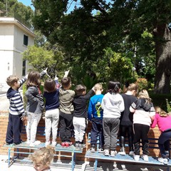 E’ arrivata la primavera alla scuola dell’infanzia Suore Piccole Operaie del Sacro Cuore di Andria