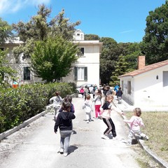 E’ arrivata la primavera alla scuola dell’infanzia Suore Piccole Operaie del Sacro Cuore di Andria