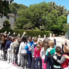 E’ arrivata la primavera alla scuola dell’infanzia Suore Piccole Operaie del Sacro Cuore di Andria