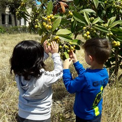 E’ arrivata la primavera alla scuola dell’infanzia Suore Piccole Operaie del Sacro Cuore di Andria