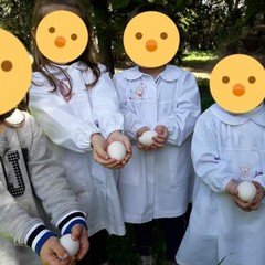 E’ arrivata la primavera alla scuola dell’infanzia Suore Piccole Operaie del Sacro Cuore di Andria