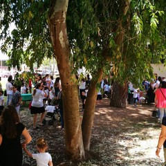 Concerto di solidarietà nella scuola dell'Infanzia "G. Mansi"
