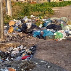 Ridateci i cassonetti