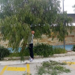 IMG WA