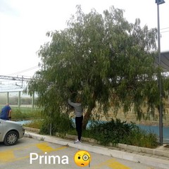 IMG WA