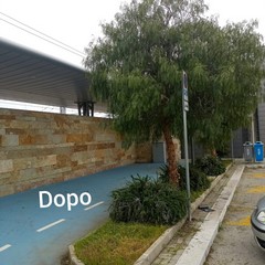 IMG WA