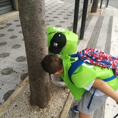 IMG WA