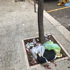IMG WA