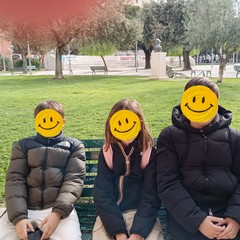 IMG WA