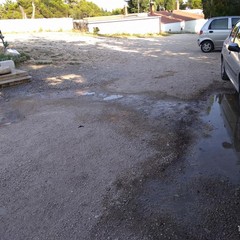 IMG JPG