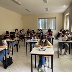 IMG JPG