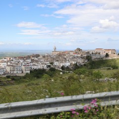 IMG JPG
