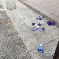 IMG JPG