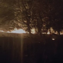 incendio sulle alture della Murgia di Andria e Minervino murge