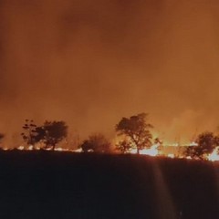 incendio sulle alture della Murgia di Andria e Minervino murge