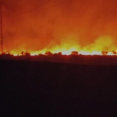 incendio sulle alture della Murgia di Andria e Minervino murge