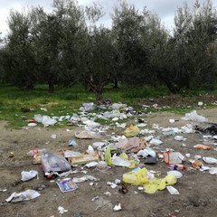 immondizia