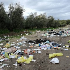 immondizia