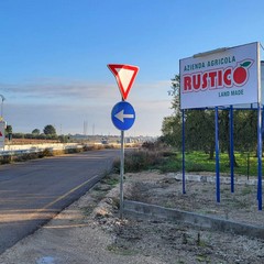 Grave incidente sulla provinciale Andria Canosa