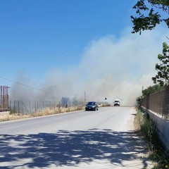 Incendi di sterpaglia su via Trani e via Bisceglie
