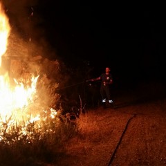 incendio boschetto santo spirito andria