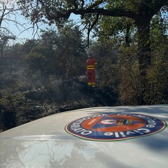 Incendio boschivo Andria
