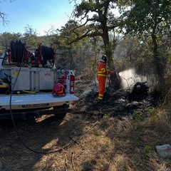 Incendio boschivo Andria