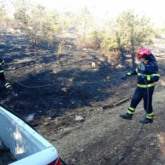 Incendio bosco Andria