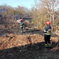 Incendio bosco Andria
