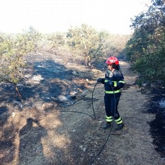 Incendio bosco Andria