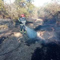 Incendio bosco Andria