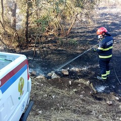 Incendio bosco Andria