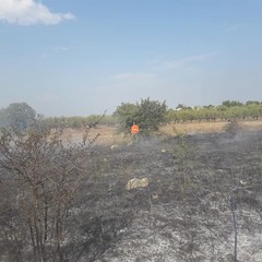 incendio Mangieri