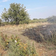 incendio Mangieri