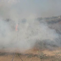 incendio Mangieri
