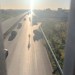Incidente sulla provinciale Andria Corato