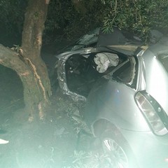 incidente stradale sull'Andria Bisceglie