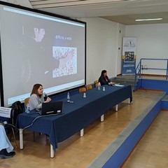 I.I.S.S. "Ettore Carafa" di Andria