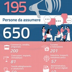 infografica
