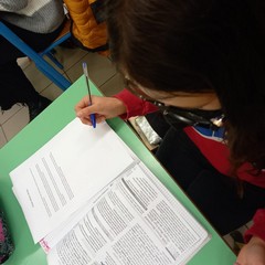 iniziativa clil