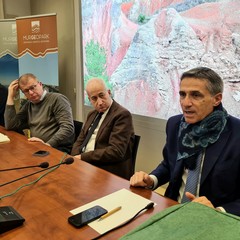 Incontro sulla Xylella