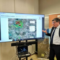 Incontro sulla Xylella