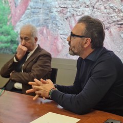 Incontro sulla Xylella