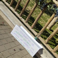 festa dei nonni