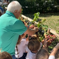 festa dei nonni