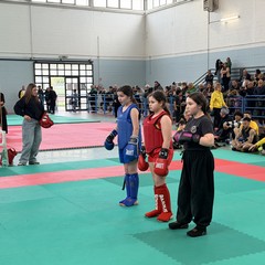 Andria Kung Fu