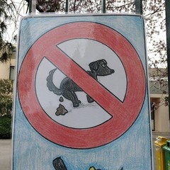 LI C Verdi Cafaro dice Basta ai campi minati per le deiezioni canine